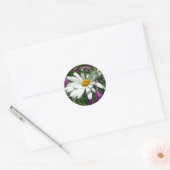 Sticker Rond Fleur sauvage Daisy et Fireweed (Enveloppe)