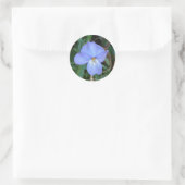 Sticker Rond Fleur sauvage Oiseaux-Pied Violet IV sources therm (Sac)