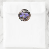Sticker Rond Fleur sauvage Oiseaux-Pied Violet Sources thermale (Sac)
