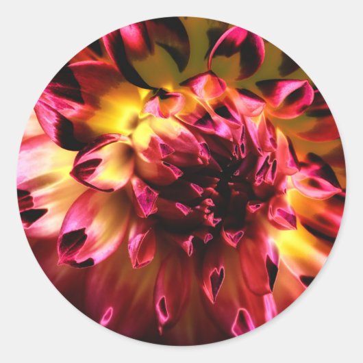 Sticker Rond Fleur unique et dynamique (Devant)