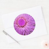 Sticker Rond Fleur violet et rose (Enveloppe)
