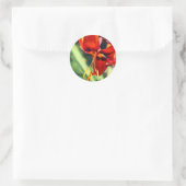 Sticker Rond Fleurie Orange Lily Flower (Sac)