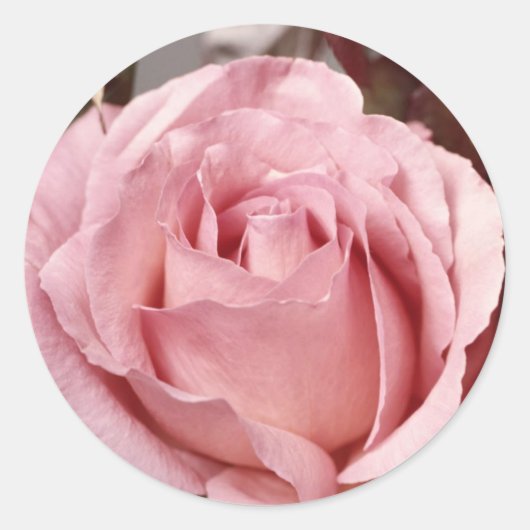 Sticker Rond Fleurs 137 (Devant)