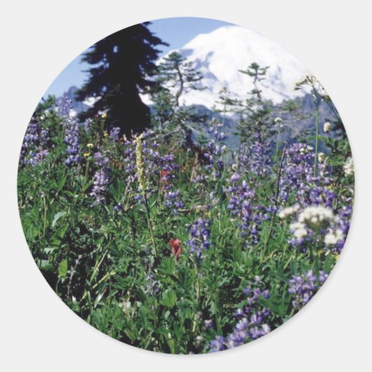 Sticker Rond Fleurs 139 (Devant)