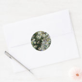 STICKER ROND FLEURS D'ASTER (Enveloppe)