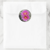Sticker Rond Fleurs de boule F5 "Escobaria vivipara" (Sac)