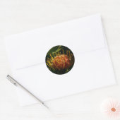 STICKER ROND FLEURS DE CACTUS EXOTIQUES ORANGE (Enveloppe)