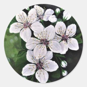 Sticker Rond Fleurs De Cerisier Blanc Art En Acrylique