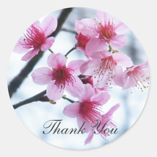 Sticker Rond Fleurs de cerisiers - A (Devant)