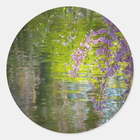 Sticker Rond Fleurs de cerisiers impressionnistes (Devant)