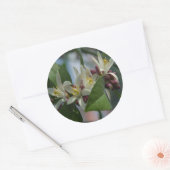 Sticker Rond Fleurs de citron (Enveloppe)