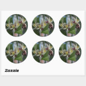 Sticker Rond Fleurs de citron (Feuille)