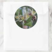 Sticker Rond Fleurs de citron (Sac)