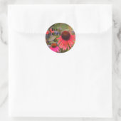 Sticker Rond Fleurs de cône rouge Echinacea Fun Bee Happy (Sac)