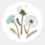 Sticker Rond Fleurs De Dandelion Élégantes Et Whimiques (Devant)