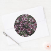 STICKER ROND FLEURS DE DIANTHUS (Enveloppe)