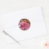 Sticker Rond Fleurs de fleurs de cerisier rose chaud (Enveloppe)