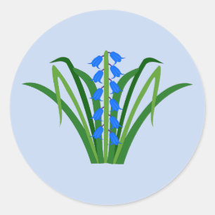 Sticker Rond Fleurs de Jacinthe Bleue Garçon Printemps