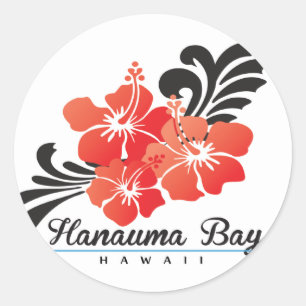 Sticker Rond Fleurs de ketmie d'Hawaï