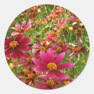 Sticker Rond Fleurs de marguerite rose et jaune brillantes