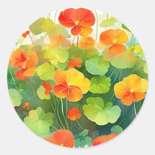 Sticker Rond Fleurs de Nasturtium vibrantes