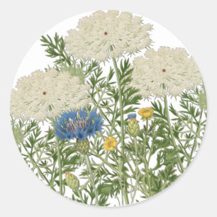 Sticker Rond Fleurs de prairie estivale dentelle de la reine An