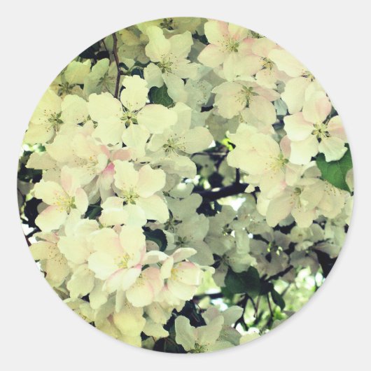 Sticker Rond Fleurs de printemps blanches (Devant)