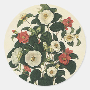Sticker Rond Fleurs de roses de jardin antiques florales vintag