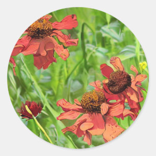 STICKER ROND FLEURS DE RUDBECKIA ROUGES