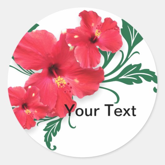 Sticker Rond Fleurs d'Hibiscus (Devant)