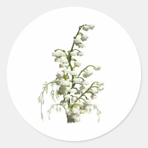 Sticker Rond Fleurs du muguet