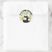 Sticker Rond Fleurs Hawaii Plumeria (Sac)