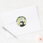 Sticker Rond Fleurs Hawaii Plumeria (Enveloppe)