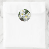 Sticker Rond Fleurs Hawaii Plumeria (Sac)