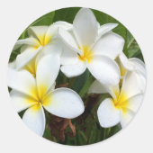 Sticker Rond Fleurs Hawaii Plumeria (Devant)