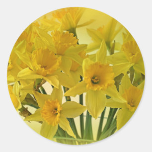 Sticker Rond Fleurs jaunes