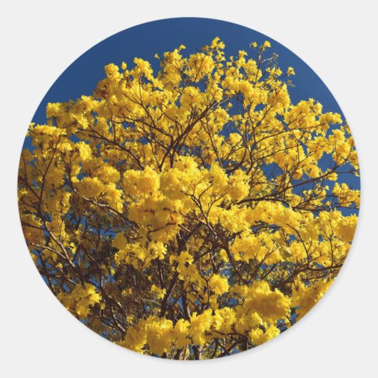 STICKER ROND FLEURS JAUNES QUEENSLAND AUSTRALIE (Devant)