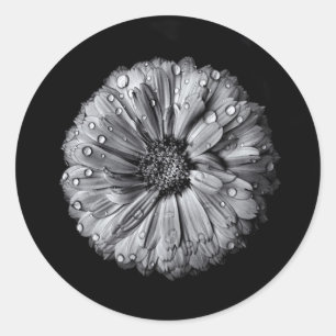 Sticker Rond Fleurs Noires Et Blanches 10