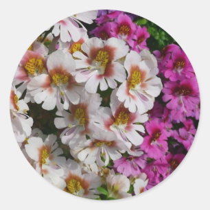 Sticker Rond Fleurs Papillon Blanc Rose et Violet