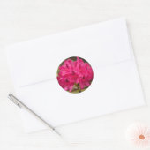 Sticker Rond Fleurs Rhododendron Rose Chaud Personnalisées (Enveloppe)