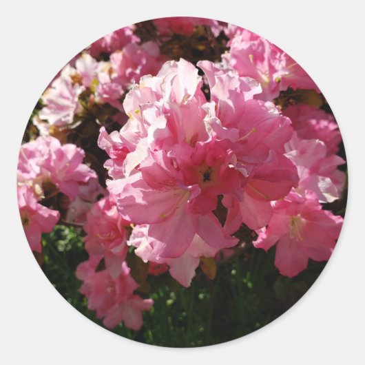 Sticker Rond Fleurs roses (Devant)