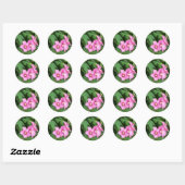 Sticker Rond Fleurs roses Rose de Sharon avec Bee (Feuille)