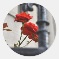 Fleurs rouges Fer forgé Photographie de New York