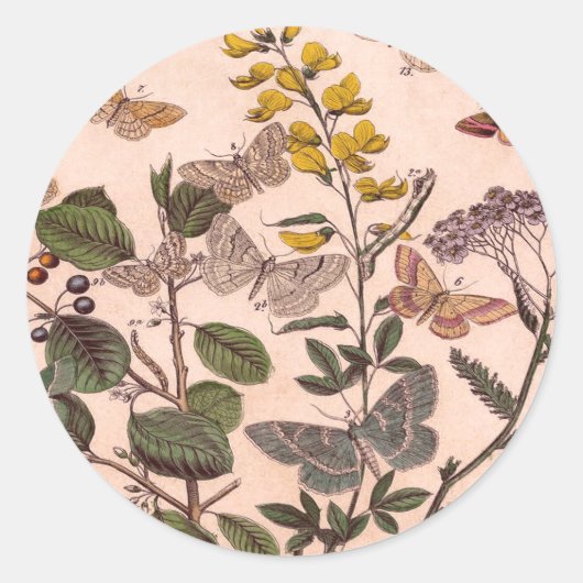 Sticker Rond Fleurs sauvages vintages d'illustrations florales (Devant)