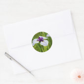 Sticker Rond Fleurs Thunb Iris Ensata (Enveloppe)