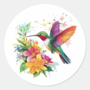 Sticker Rond Fleurs tropicales des colibris