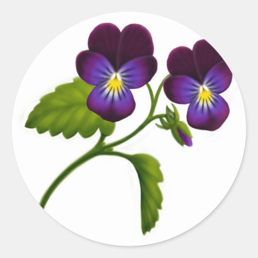 Sticker Rond Fleurs violettes de colza violet (Devant)