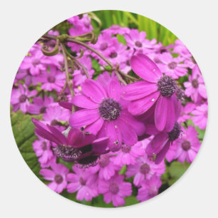 Sticker Rond Fleurs violettes de San Francisco