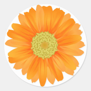 Sticker Rond Floral Orange Gerbera Daisy Fleurs