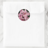 Sticker Rond Floral Pink Hyacinth (Sac)